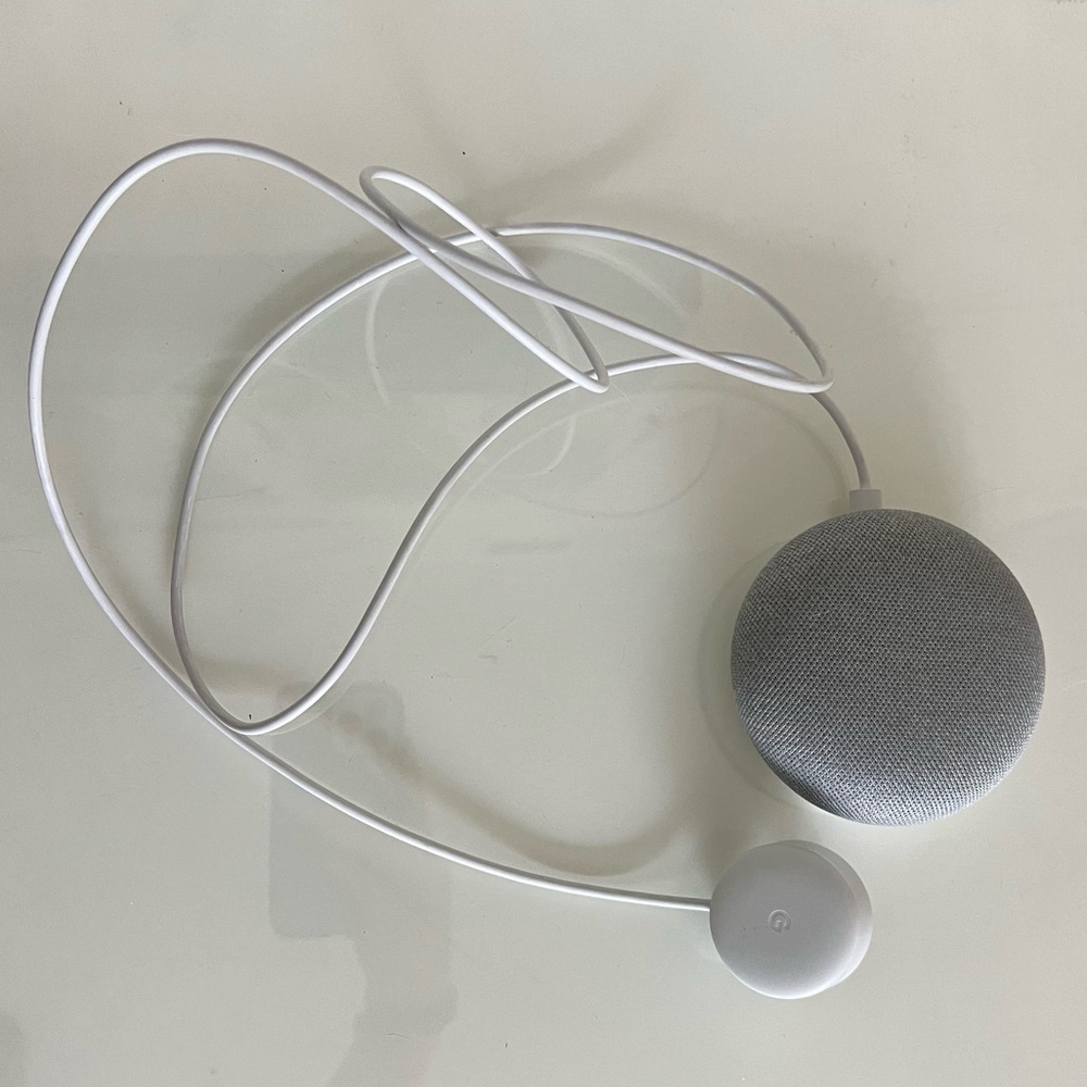 Google Echo NWOT